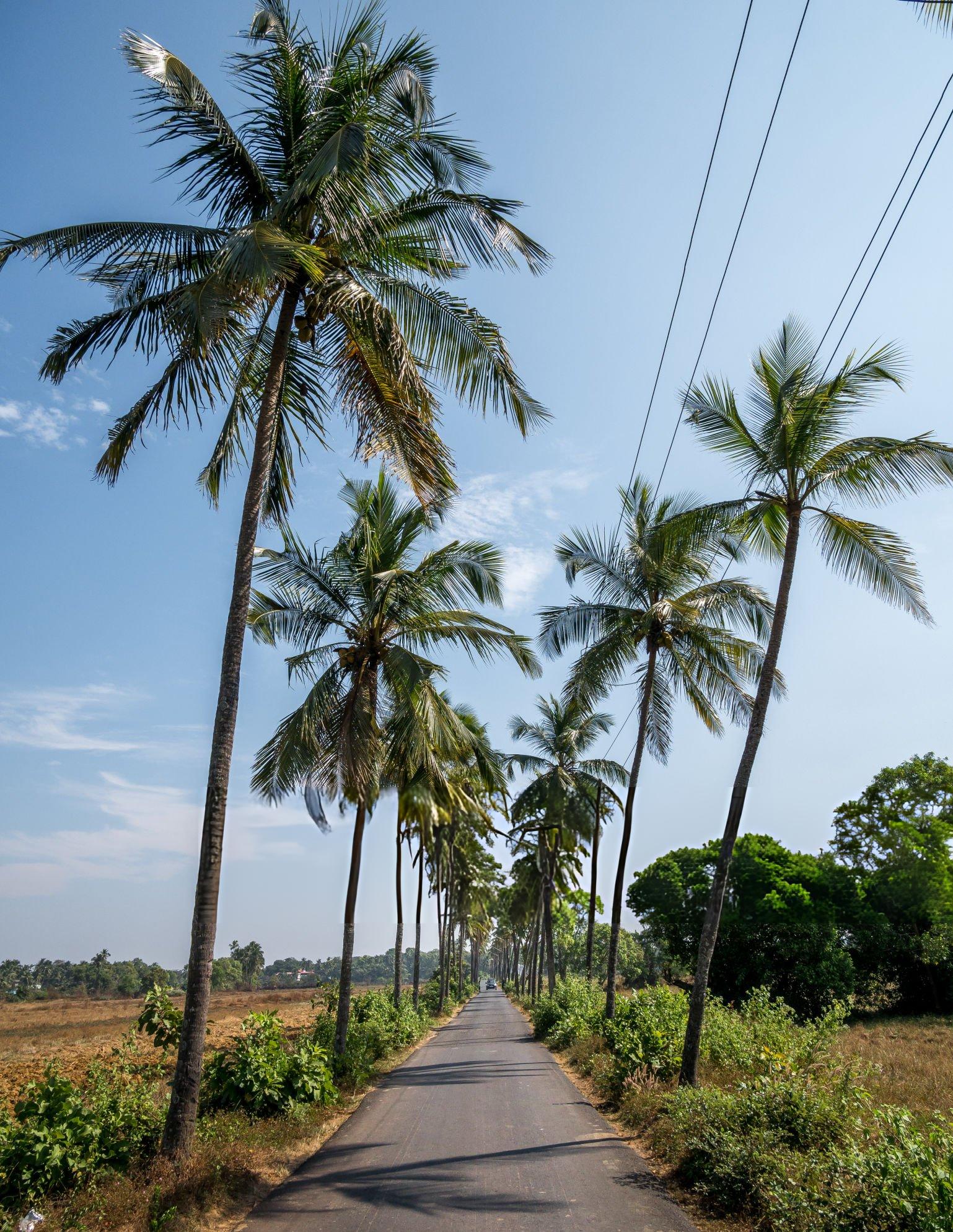 goa road, explore goa road